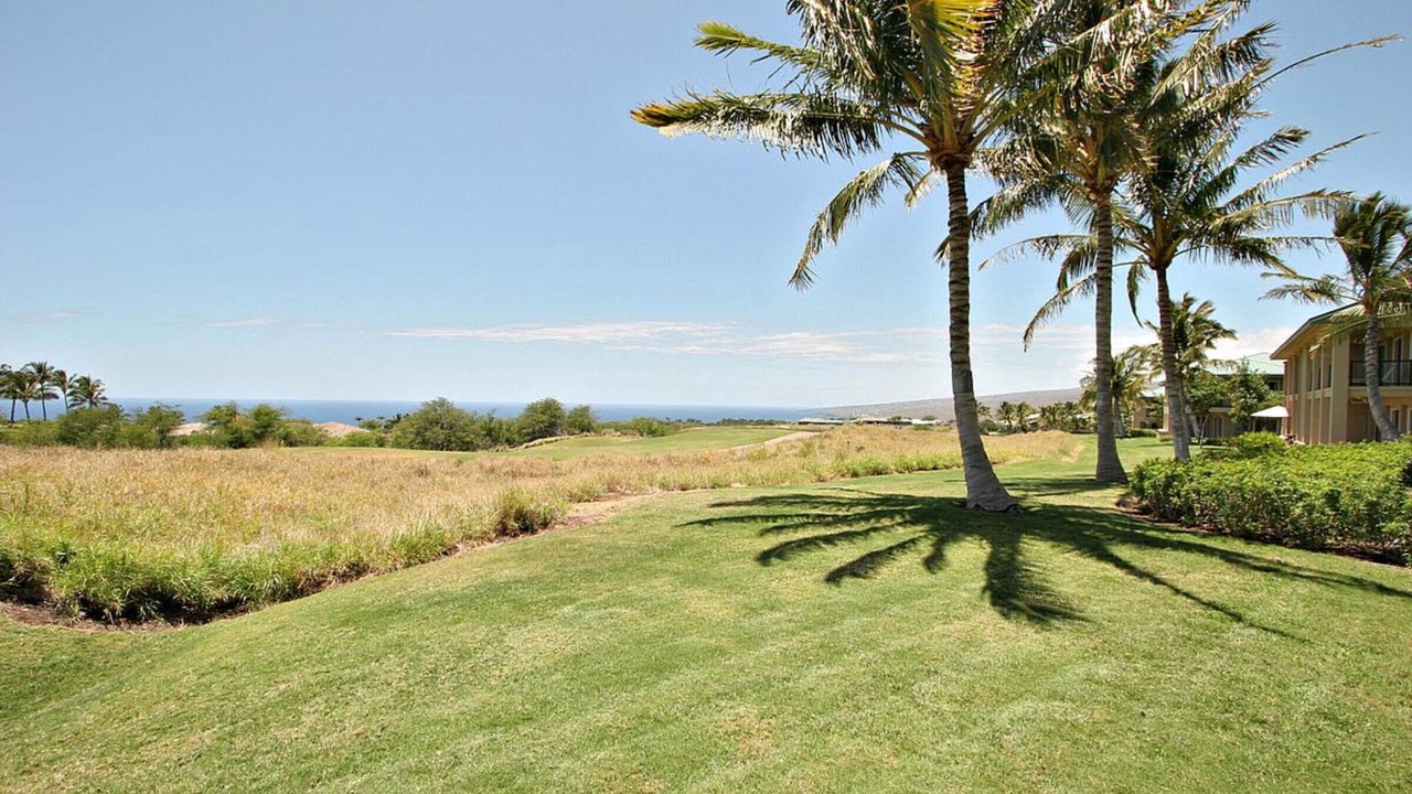 Photo of Outdoor in Kamuela