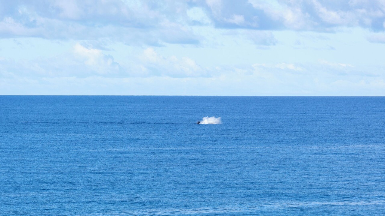 Photo of Others in Kamuela