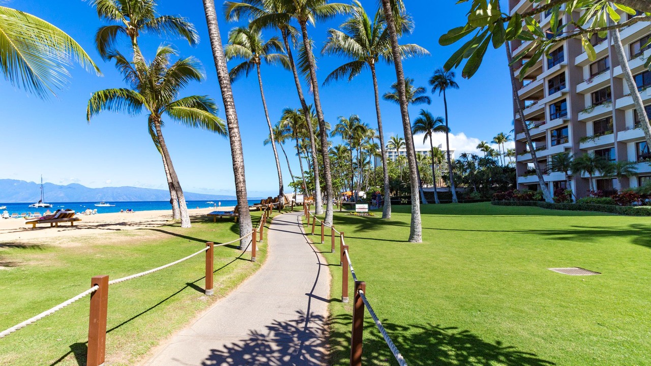 Photo of Others in Kaanapali
