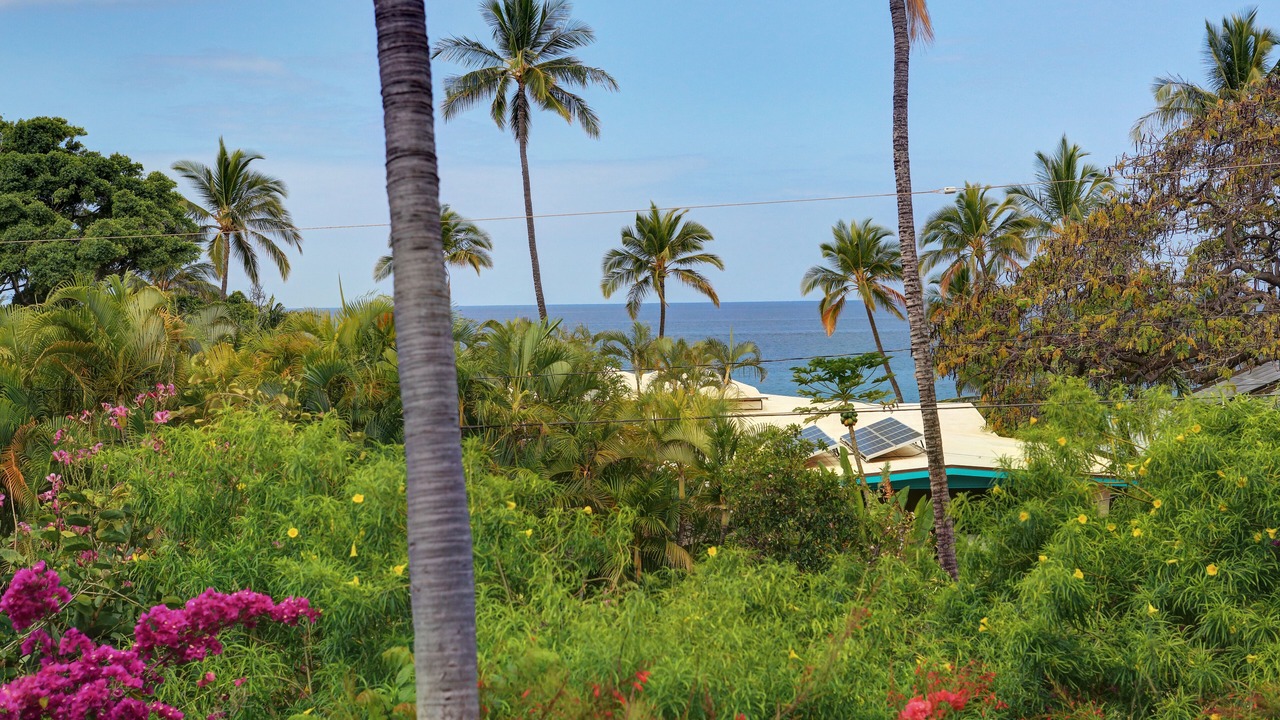 Photo of Outdoor in Wailea