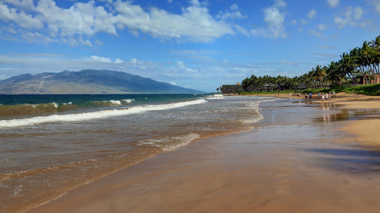 Photo of Others in Wailea