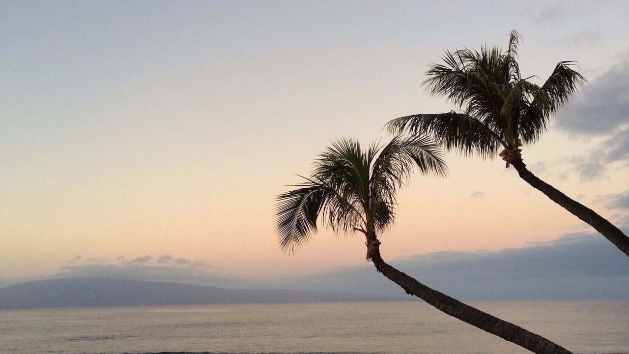 Photo of Others in Kaanapali