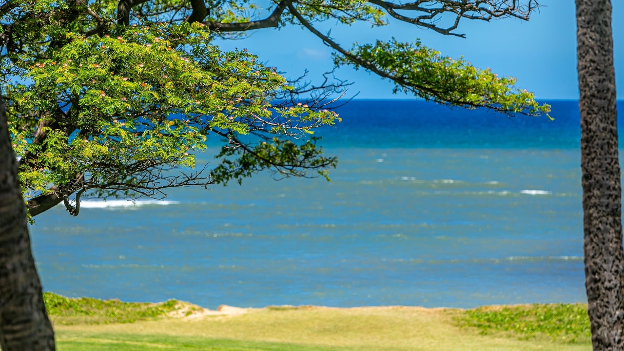 Photo of Others in Kihei
