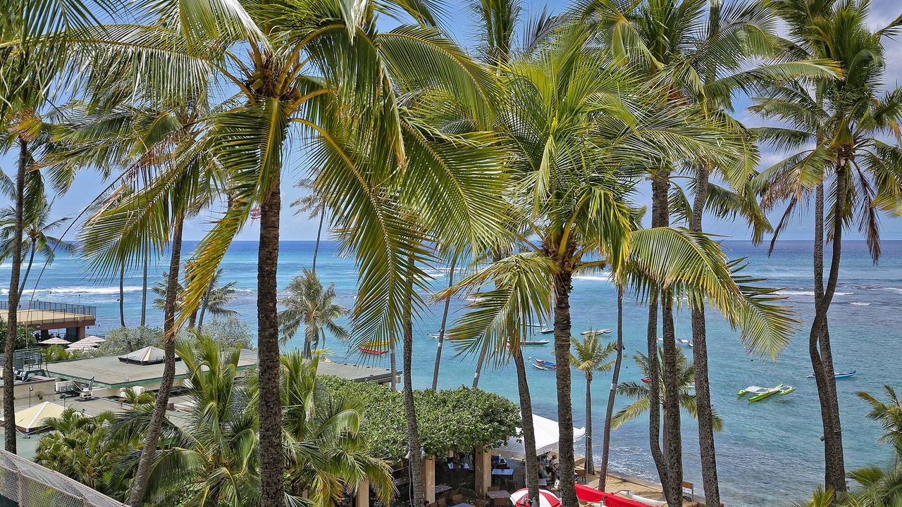 Photo of Outdoor in Diamond Head - Kapahulu - St. Louis