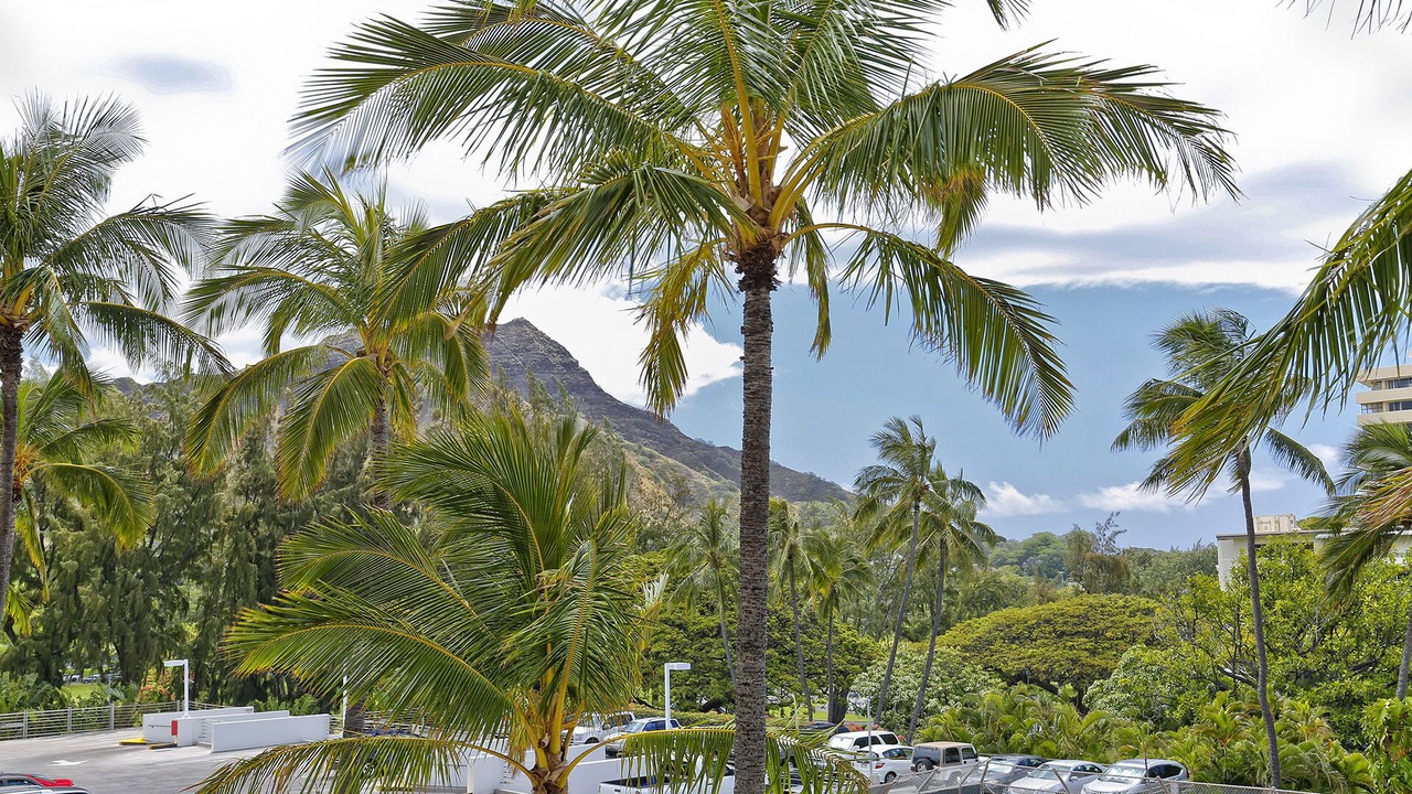 Photo of Outdoor in Diamond Head - Kapahulu - St. Louis