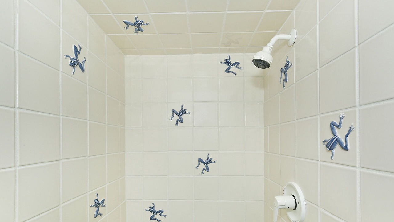 Photo of Bathroom in Diamond Head - Kapahulu - St. Louis