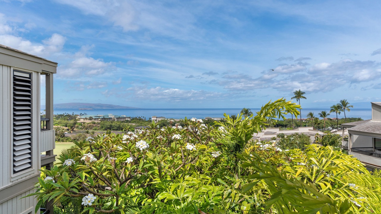 Photo of Outdoor in Wailea