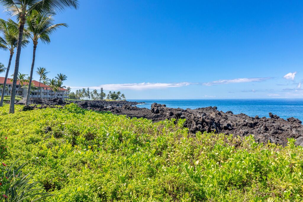 Photo of Others in Kahaluu Bay