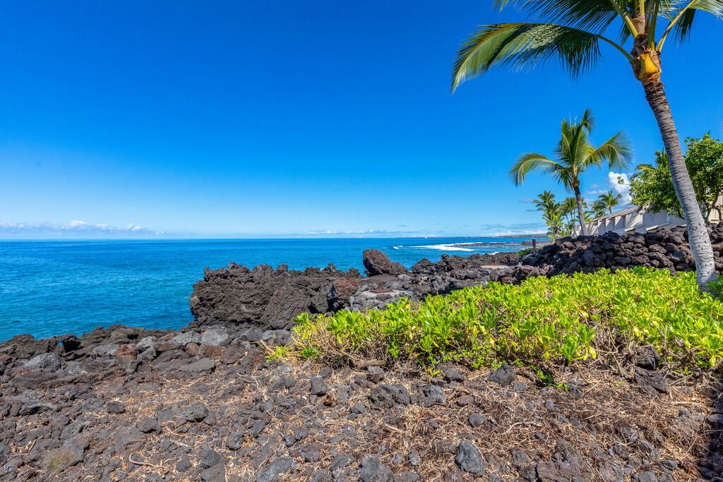 Photo of Others in Kahaluu Bay
