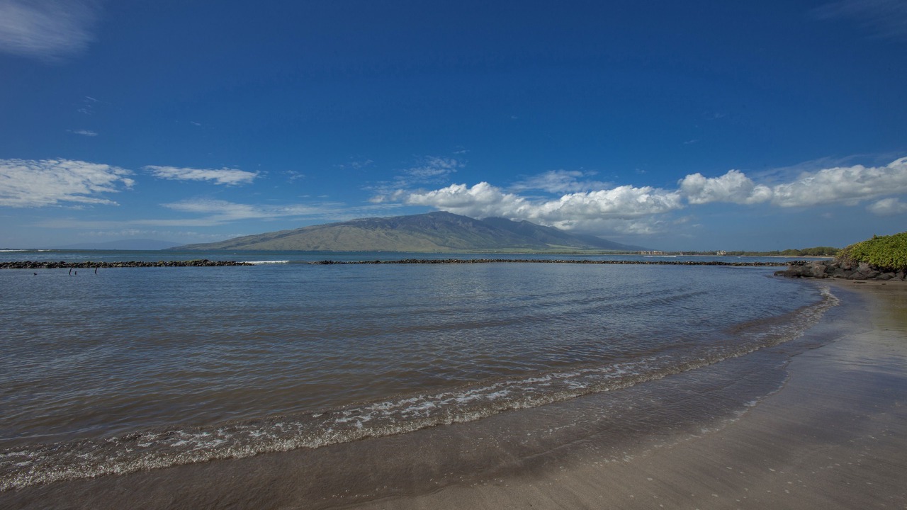 Photo of Others in Kihei