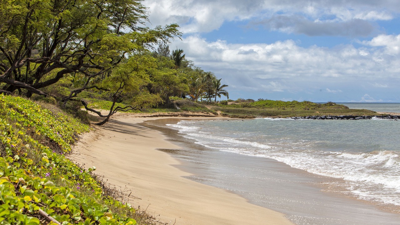 Photo of Others in Kihei