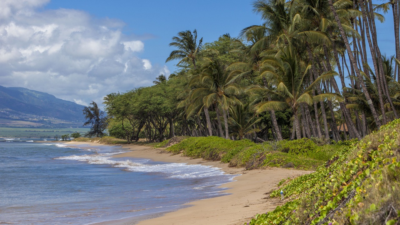 Photo of Others in Kihei