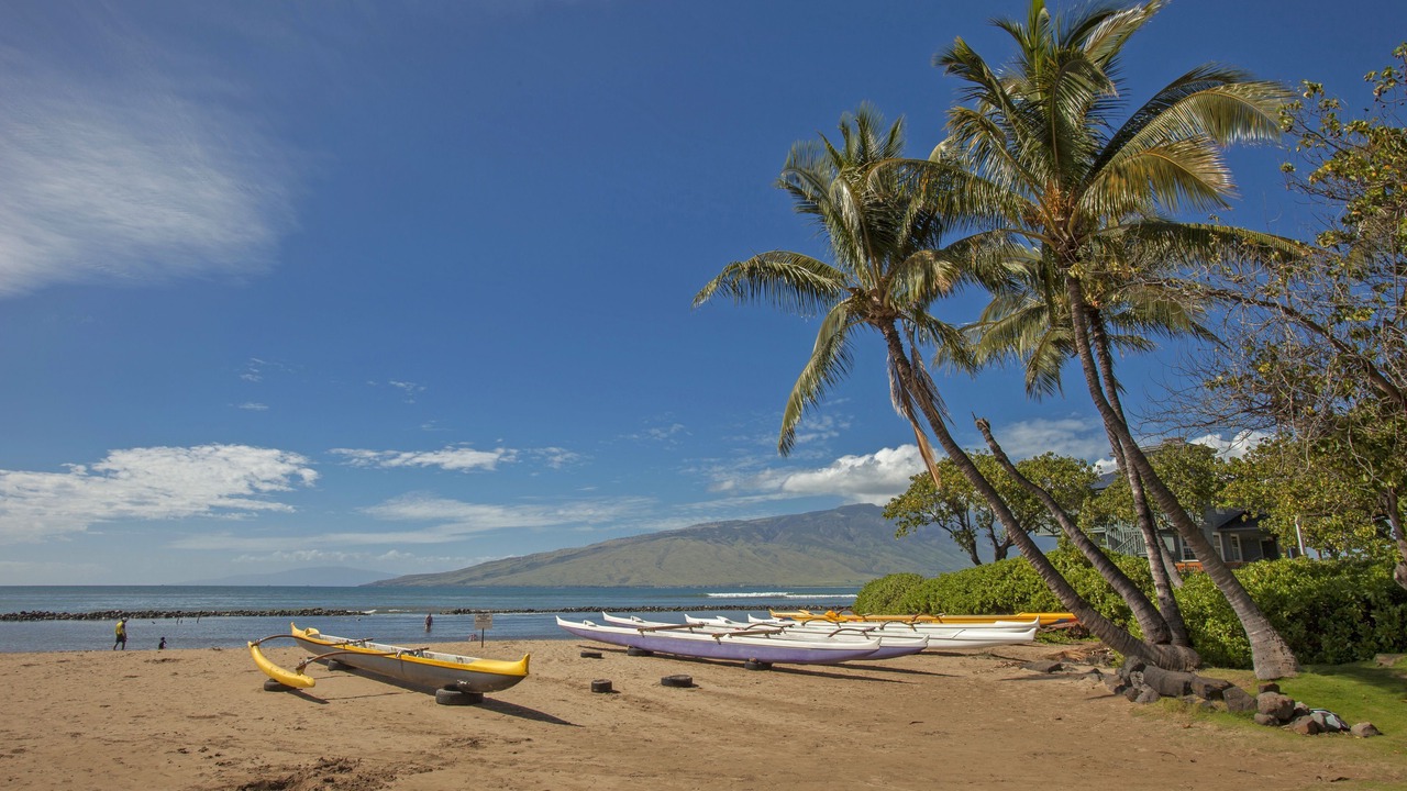 Photo of Others in Kihei