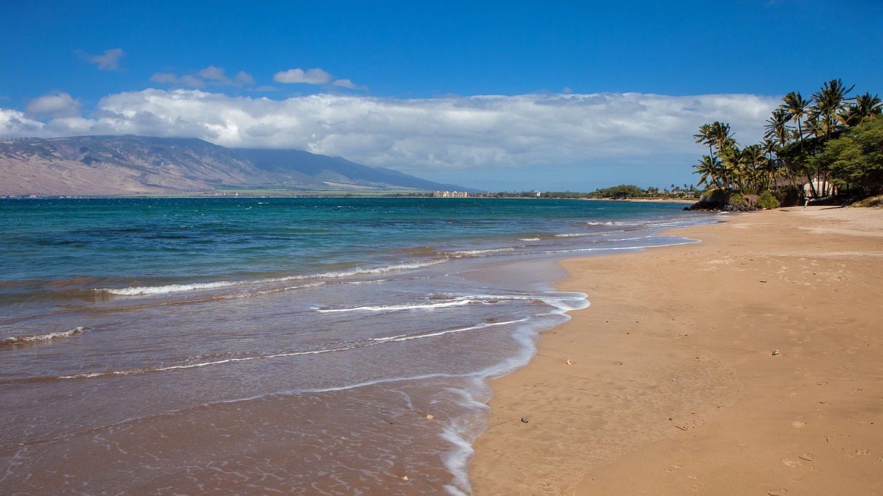 Photo of Others in Kihei