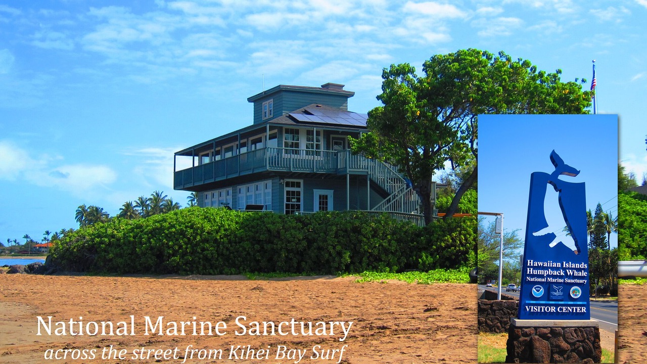 Photo of Outdoor in Kihei