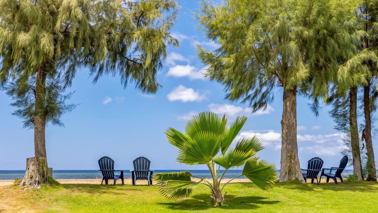 Photo of Others in Waimea