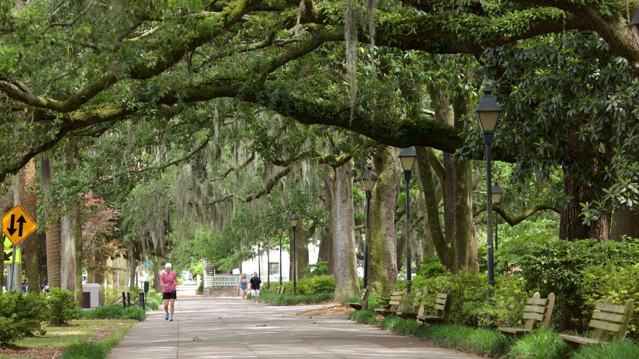 Photo of Outdoor in Historic Downtown Savannah