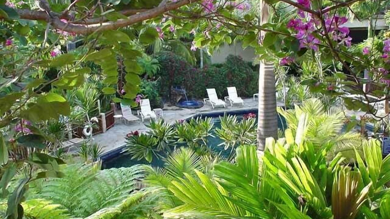 Photo of Outdoor in Poipu