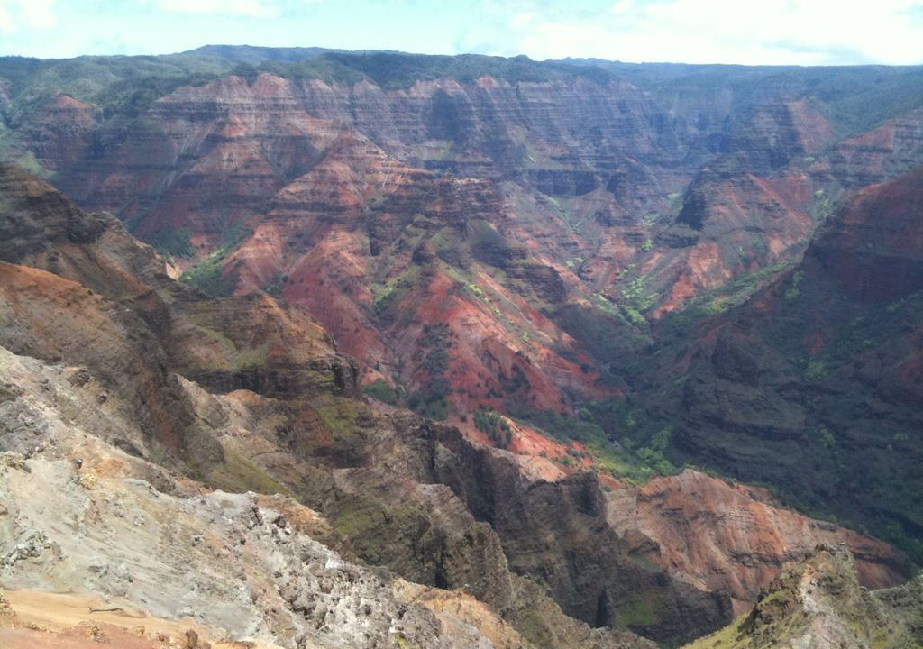 Photo of Others in Poipu