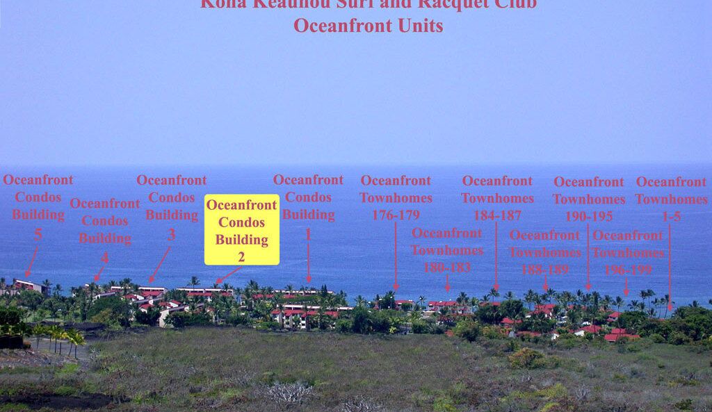 Photo of Others in Kahaluu Bay