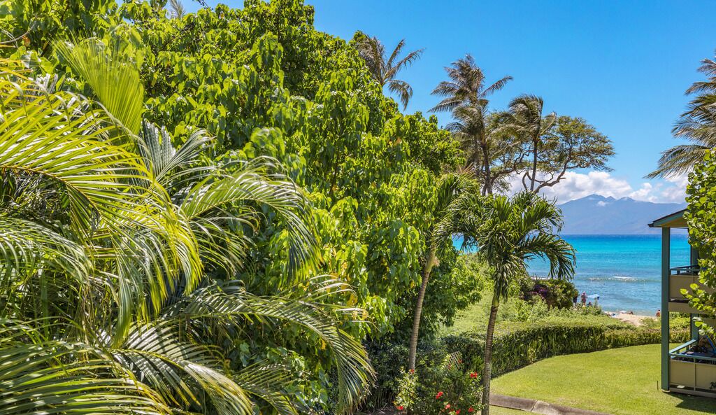 Photo of Others in Napili