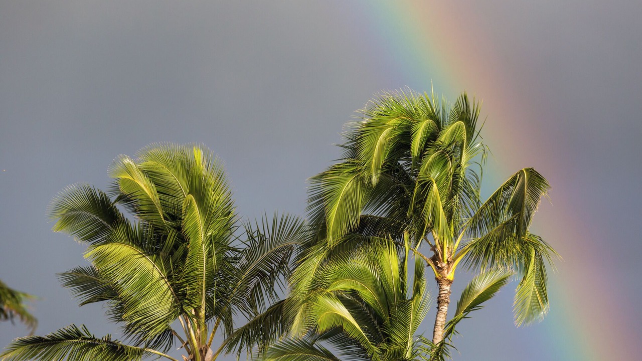 Photo of Others in Kilauea