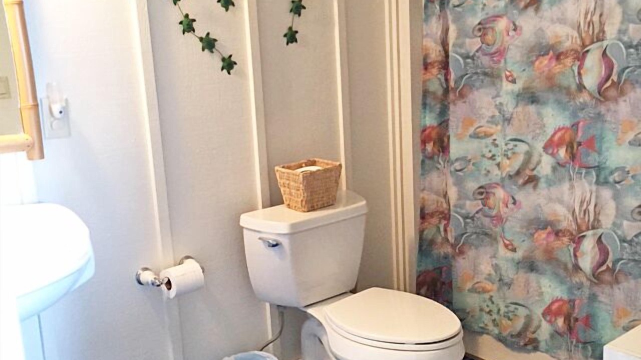 Photo of Bathroom in Kilauea