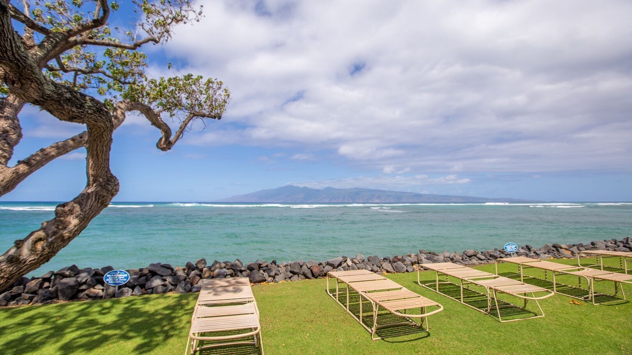 Photo of Others in Napili-Honokowai