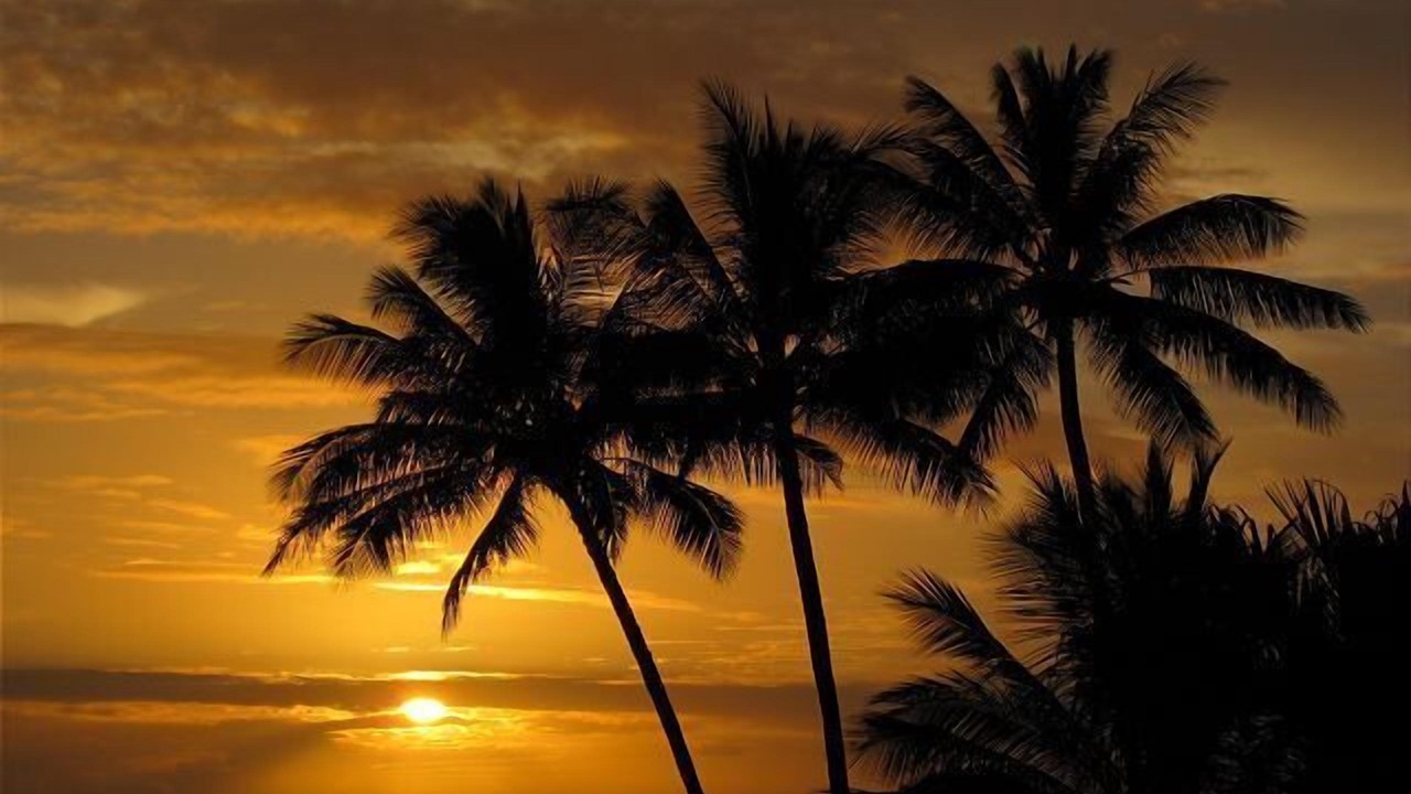 Photo of Others in Kailua-Kona