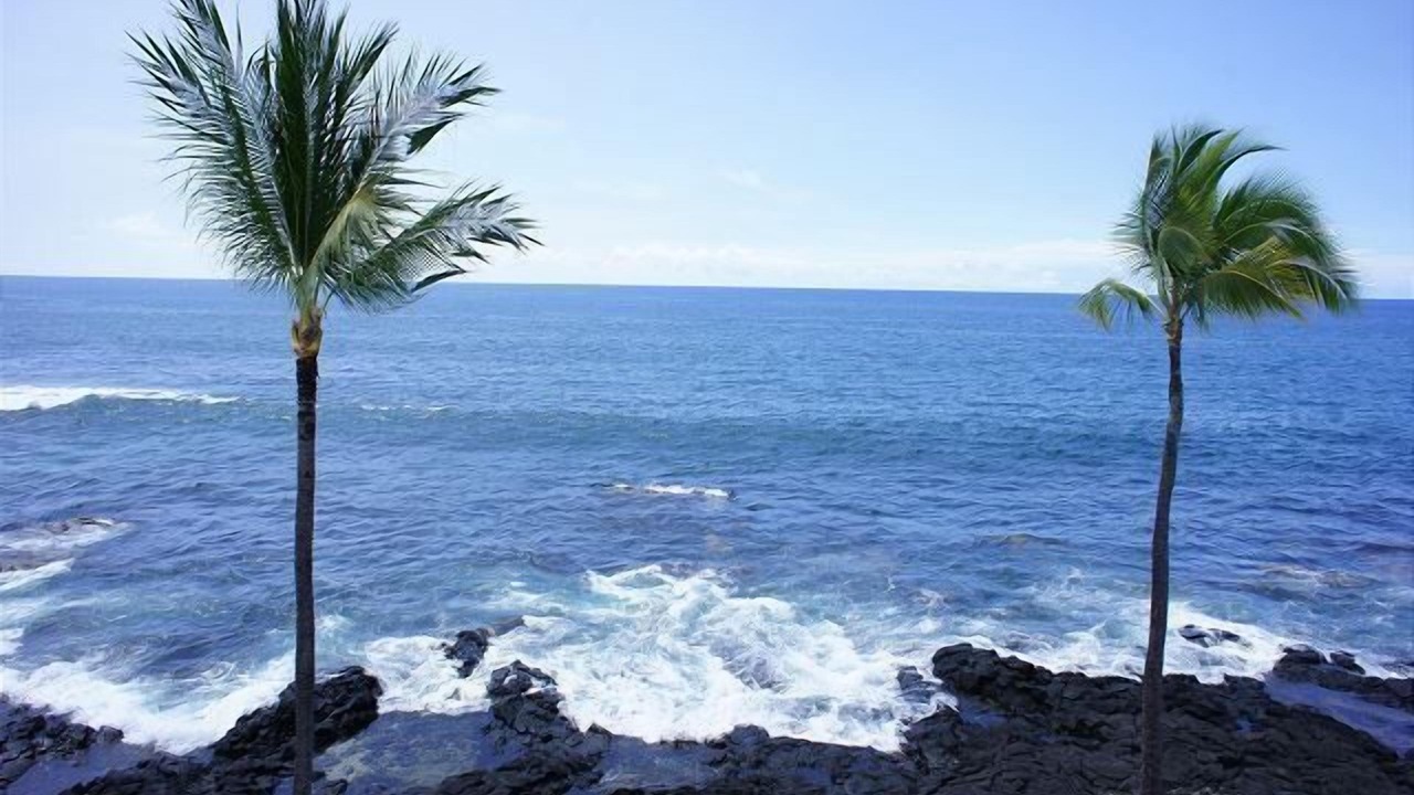 Photo of Others in Historic Kailua Village