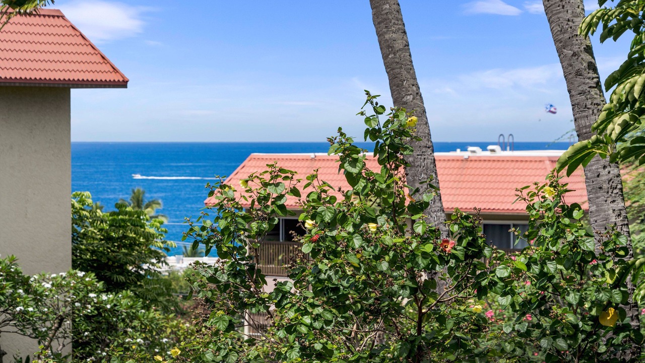 Photo of Others in Historic Kailua Village