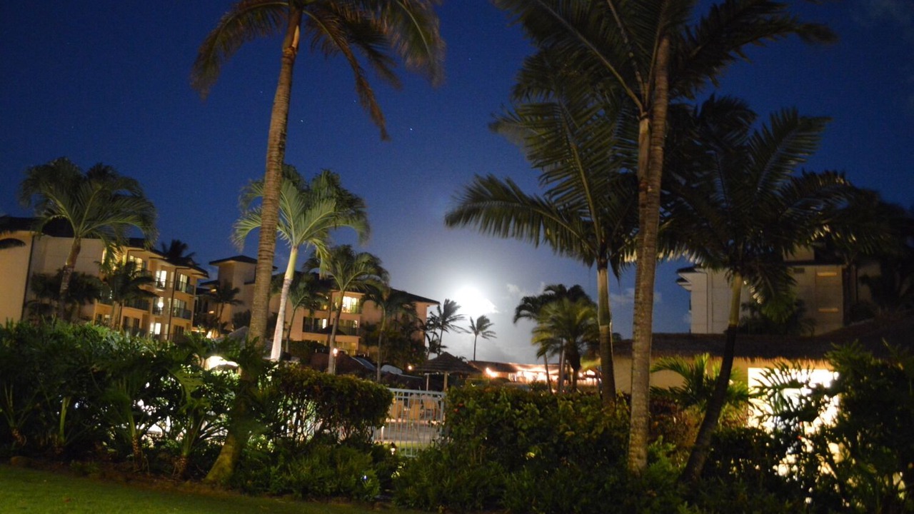 Photo of Outdoor in Wailua