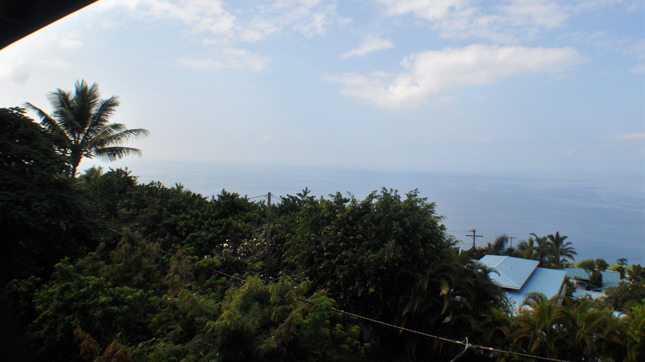 Photo of Outdoor in Kona Paradise