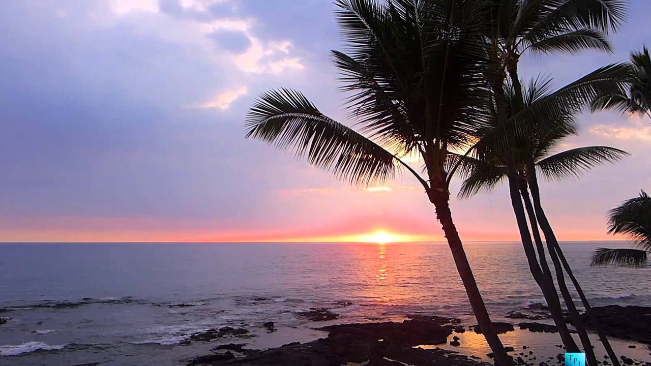 Photo of Others in Kona Paradise