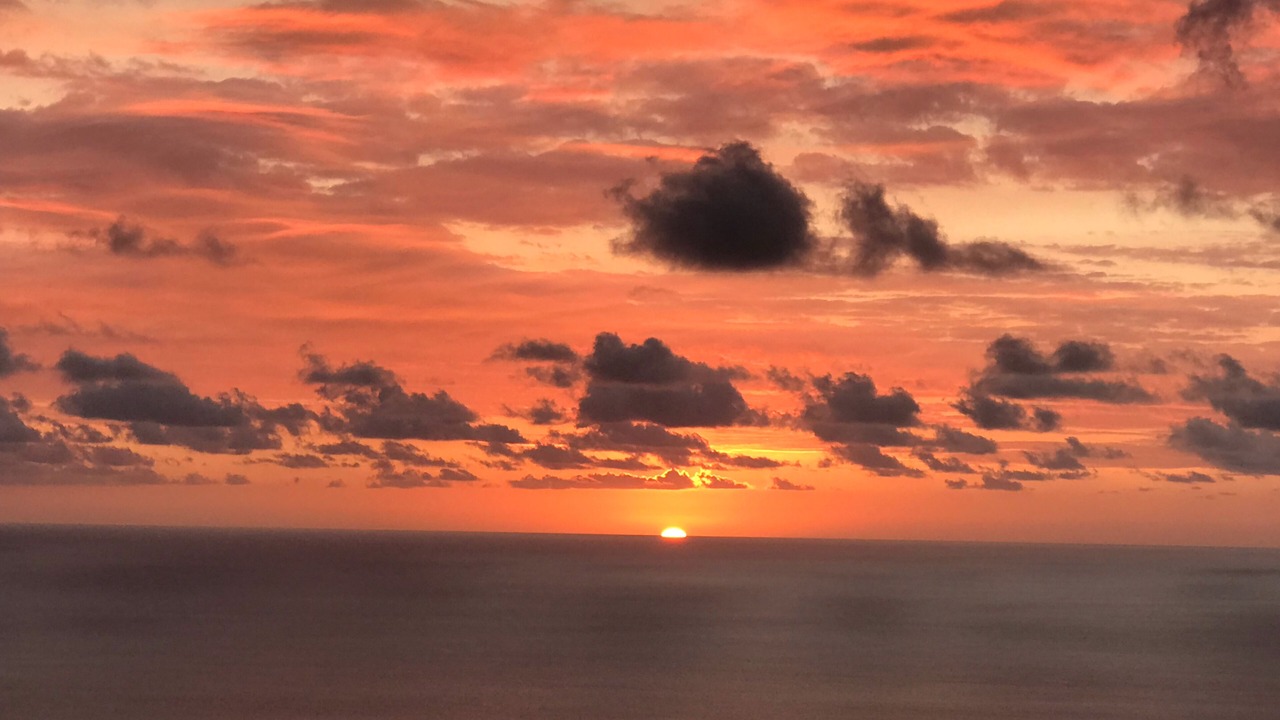 Photo of Others in Kona Paradise