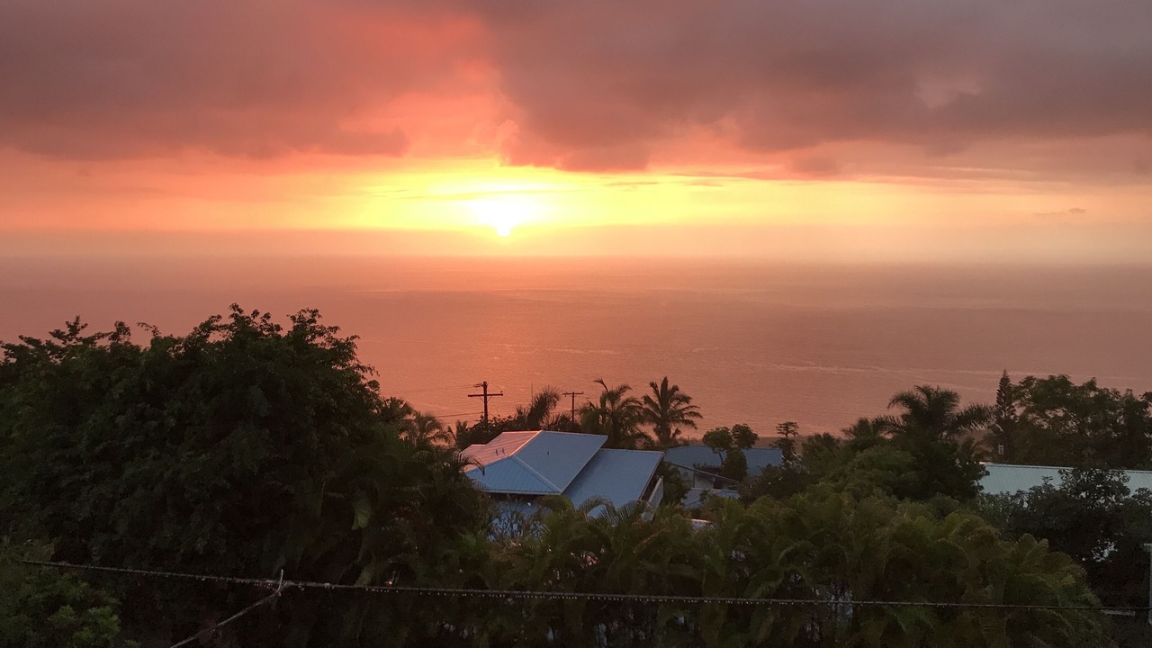 Photo of Others in Kona Paradise