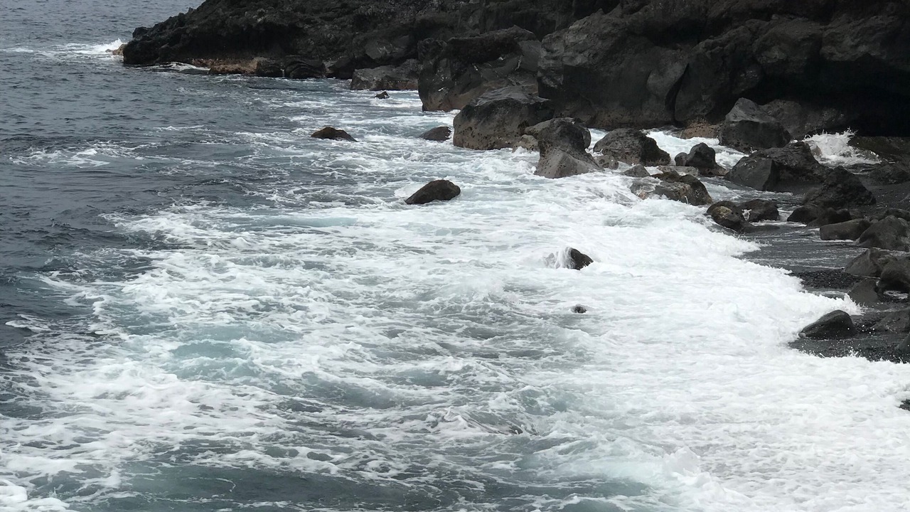 Photo of Others in Kona Paradise