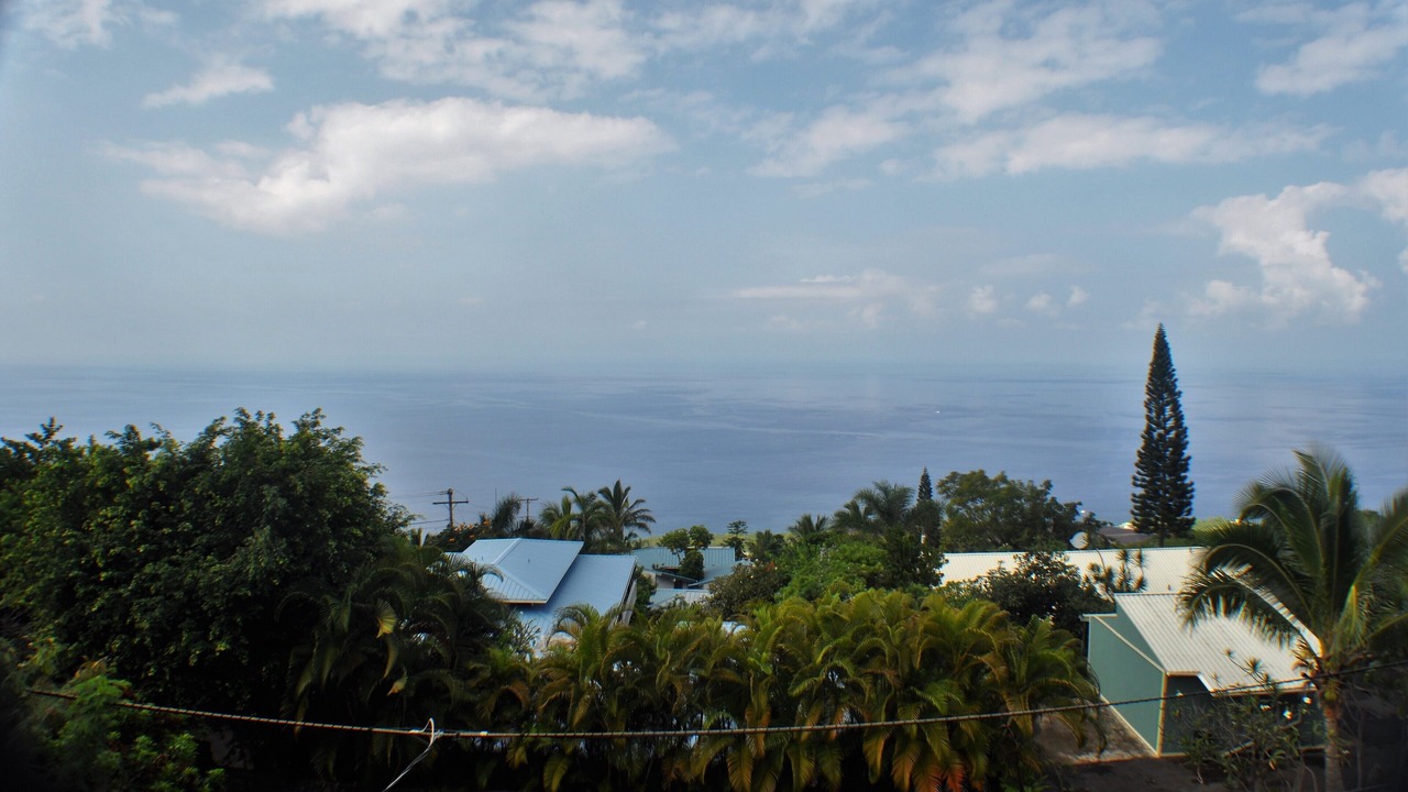 Photo of Others in Kona Paradise