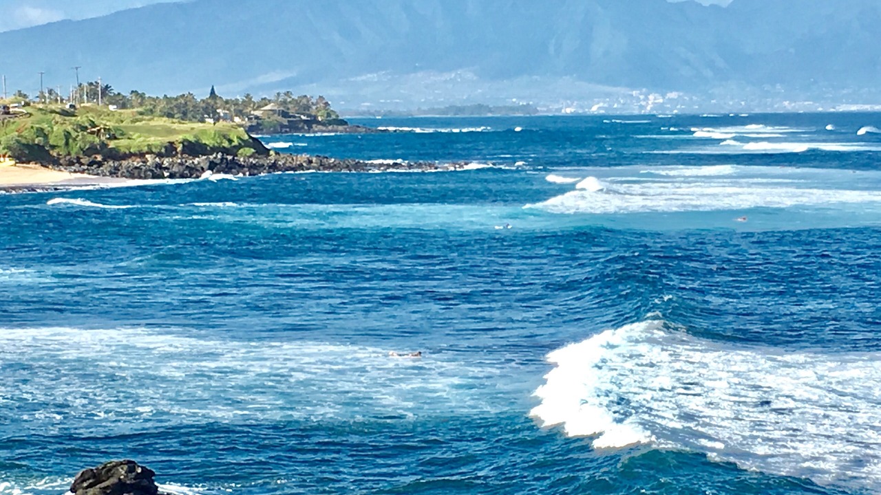 Photo of Others in Makawao