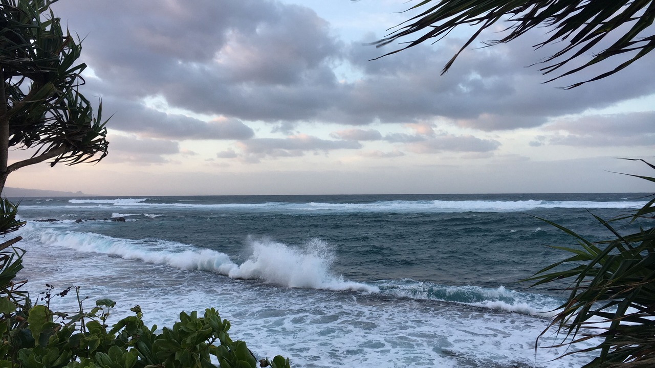 Photo of Others in Makawao