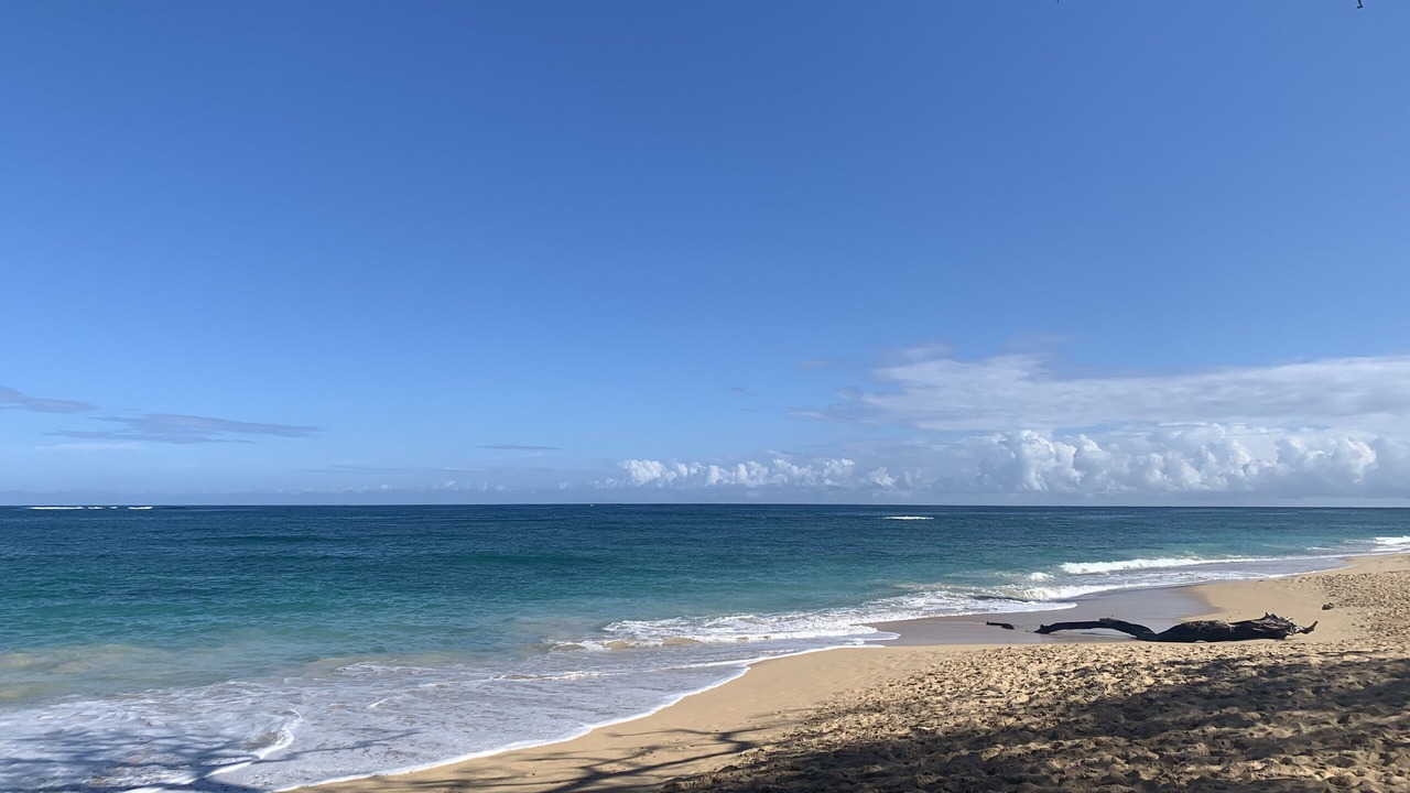 Photo of Others in Makawao