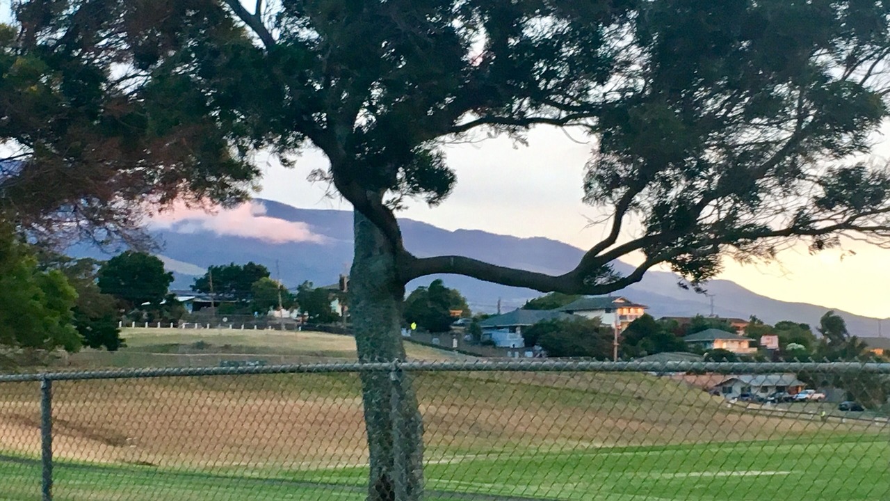 Photo of Others in Makawao