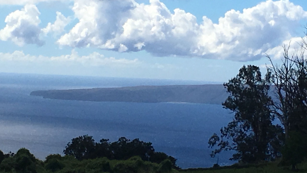 Photo of Others in Makawao