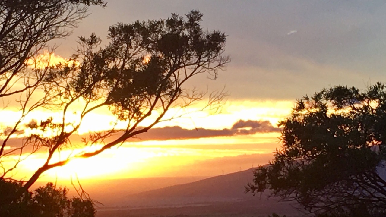Photo of Others in Makawao