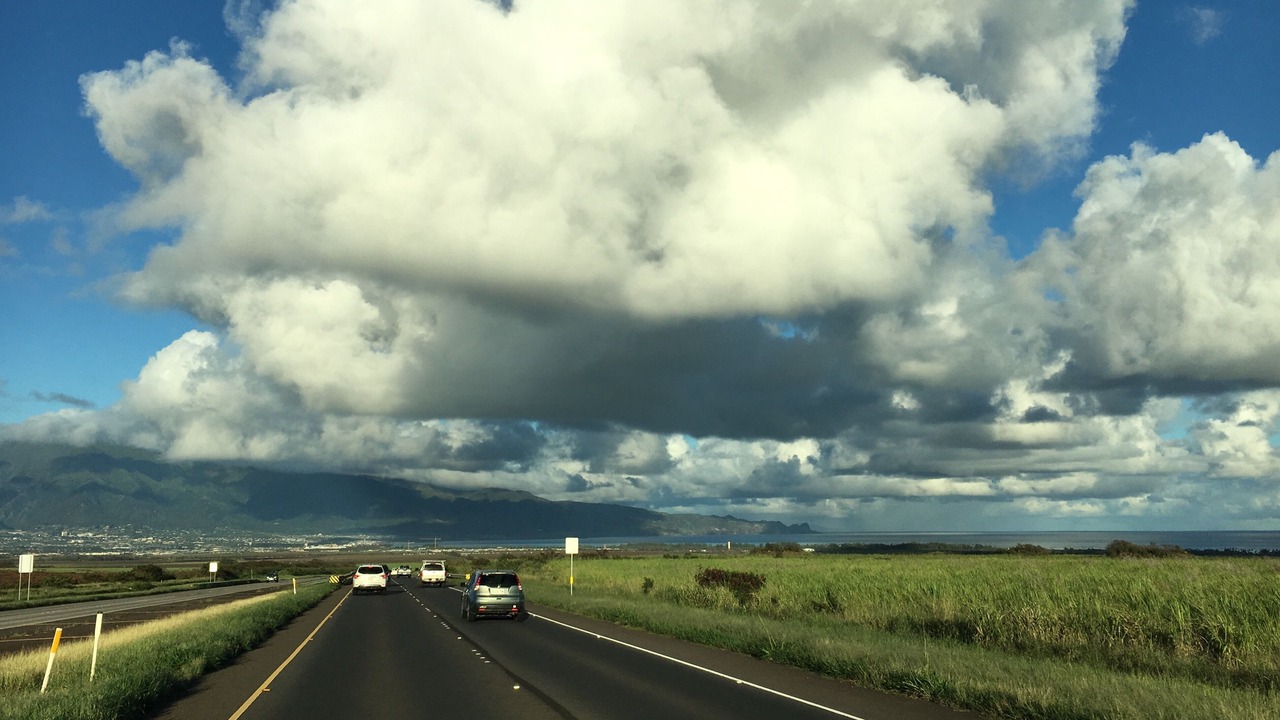Photo of Others in Makawao