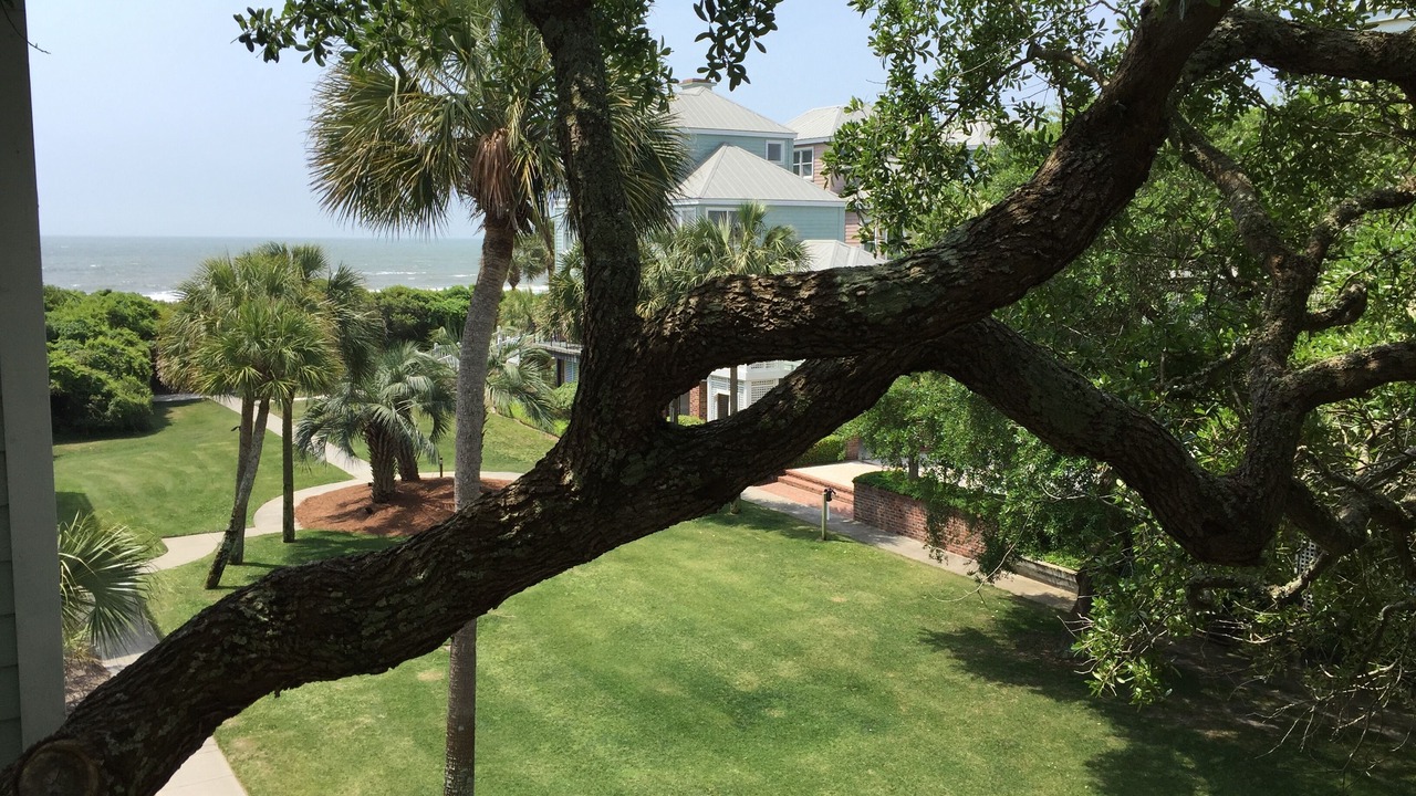 Photo of Outdoor in Isle of Palms