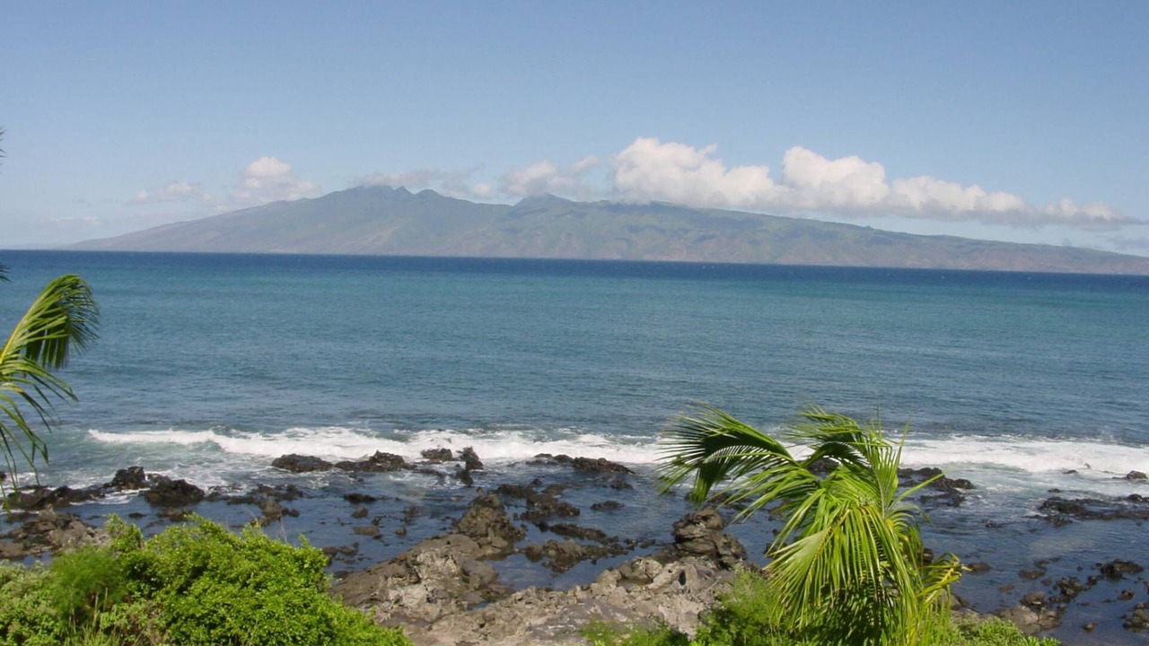 Photo of Others in Napili