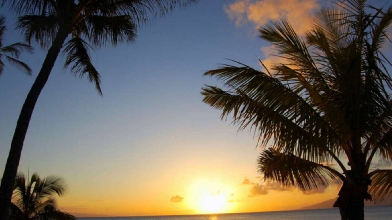 Photo of Others in Napili