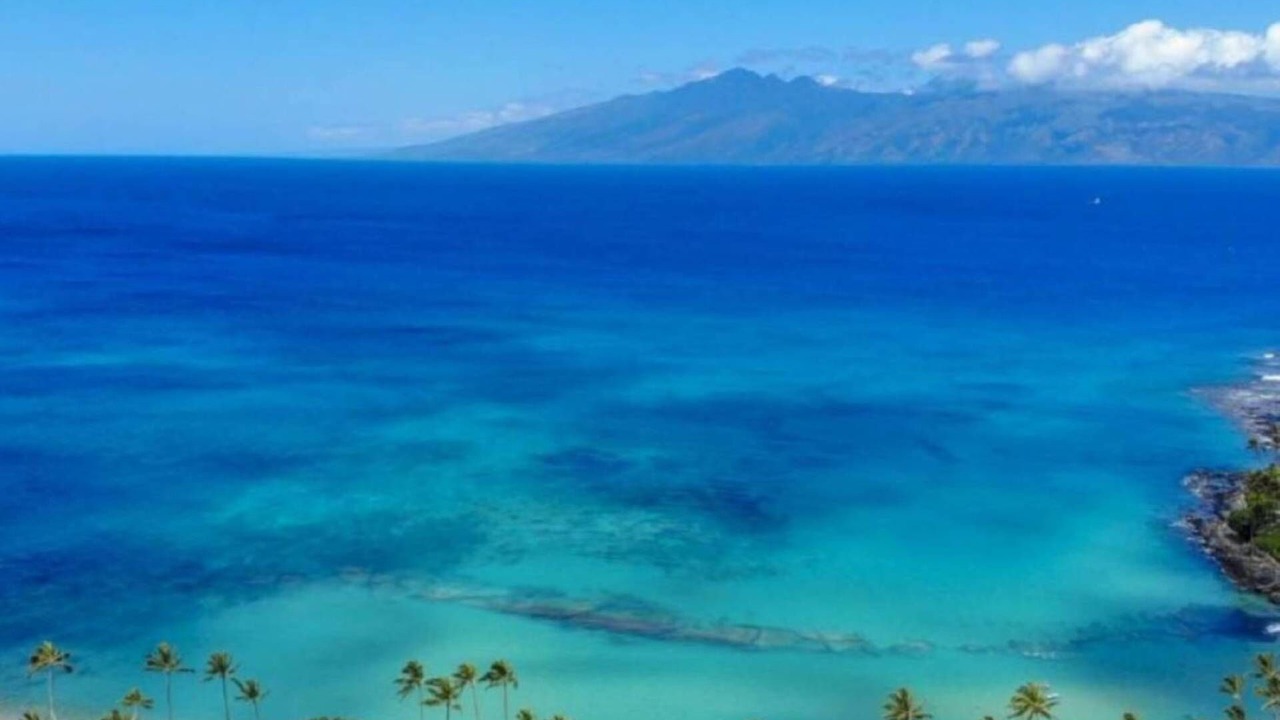 Photo of Others in Napili