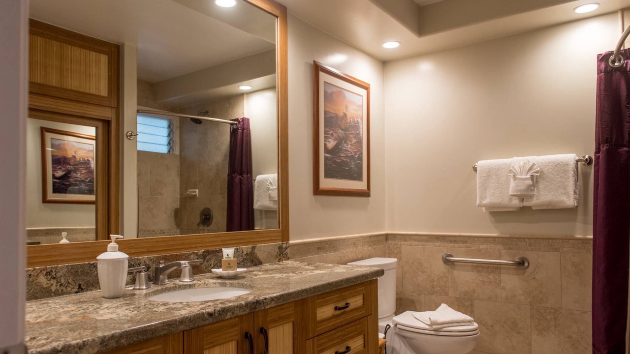 Photo of Bathroom in Napili